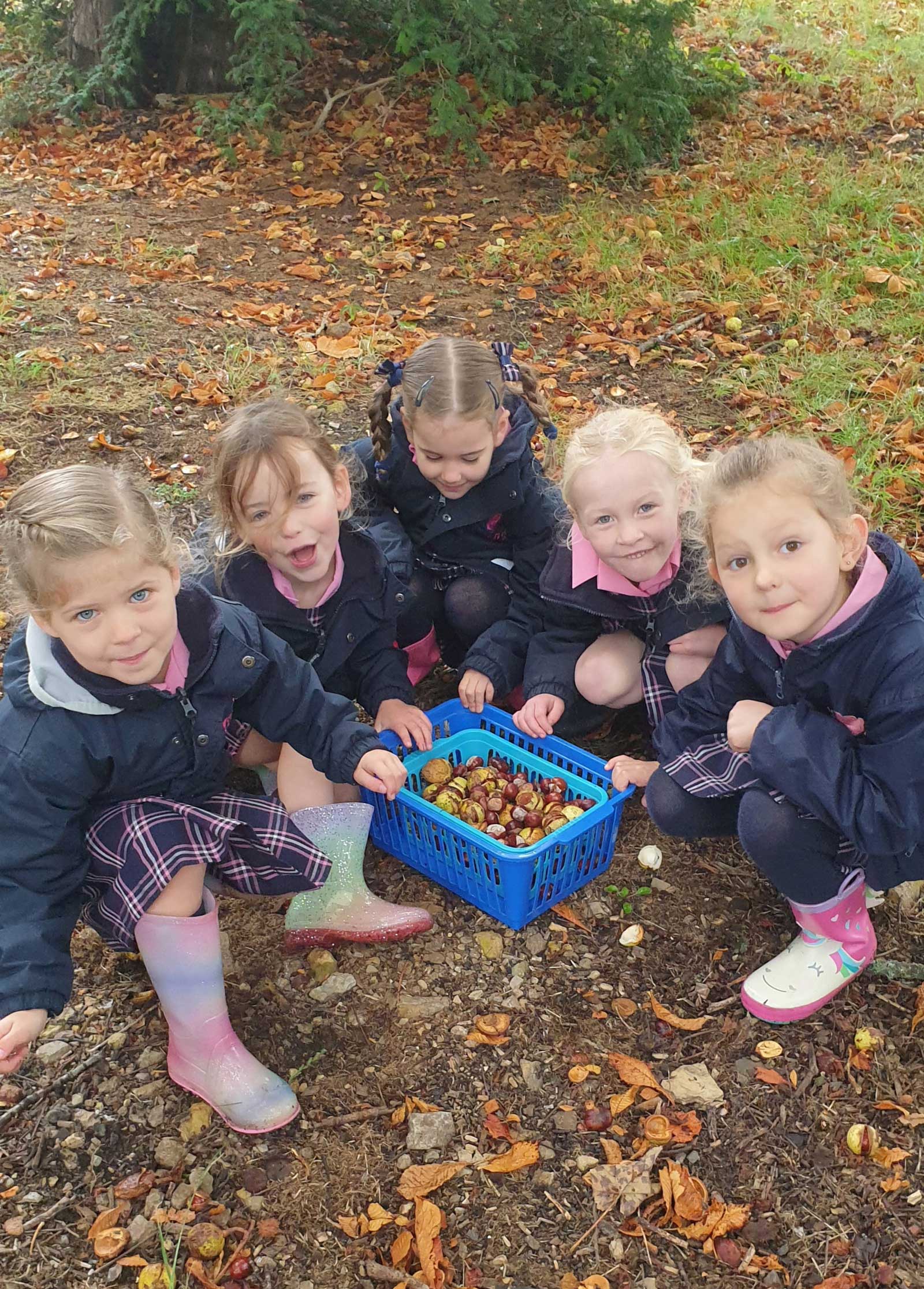 conkers