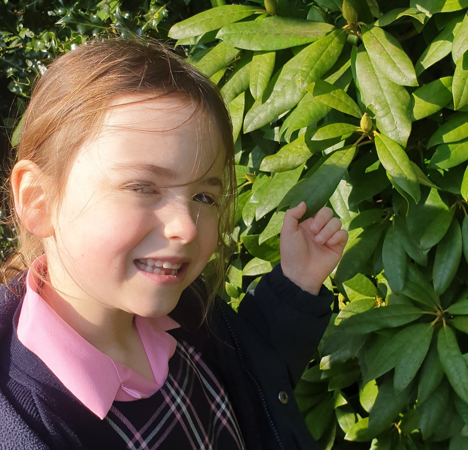 'Mindfulness' alert - The benefit of having plants in our school